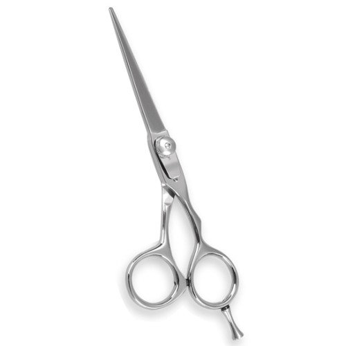 Professional Hair Cutting Scissors